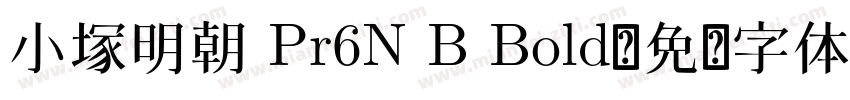 小塚明朝 Pr6N B Bold字体转换